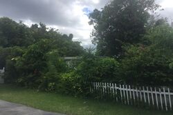  9th Ave N, Saint Petersburg FL