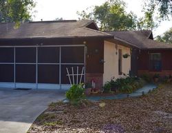 Pre-foreclosure Listing in WRIGHT CT DELAND, FL 32720