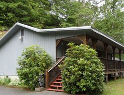 Pre-foreclosure in  FIE TOP RD Maggie Valley, NC 28751