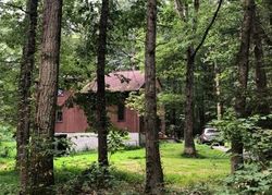 Pre-foreclosure Listing in HILLTOP RD CATAWISSA, PA 17820