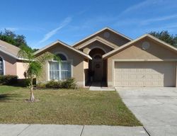 Pre-foreclosure in  FISH EAGLE ST Clermont, FL 34714