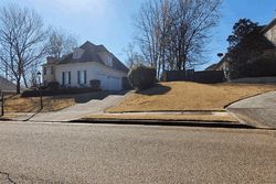 Pre-foreclosure in  BEAVER VALLEY LN Cordova, TN 38018