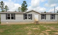 Pre-foreclosure Listing in LAMBERT HIGHLANDS RD N CITRONELLE, AL 36522