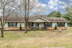 Pre-foreclosure in  HUTSELL DR Decatur, TN 37322