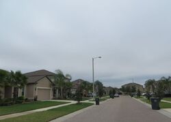 Pre-foreclosure in  ALISTAR MANOR DR Wimauma, FL 33598