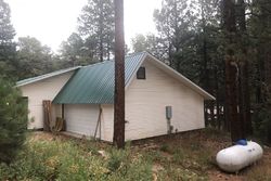 Pre-foreclosure in  E PINE TOP DR Bayfield, CO 81122