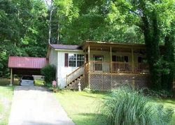 Pre-foreclosure Listing in CHAMPION RD ONEONTA, AL 35121