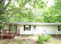 Pre-foreclosure Listing in W MOUND ST ELMWOOD, IL 61529