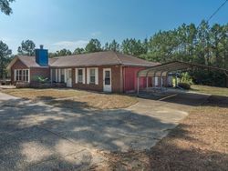 Pre-foreclosure Listing in STEEL MILL CREEK RD LAUREL HILL, FL 32567