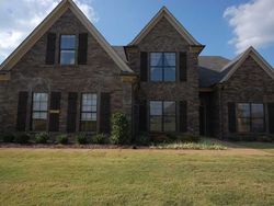 Pre-foreclosure in  WELLSPRING LN Cordova, TN 38016