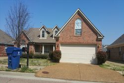 Pre-foreclosure in  TULIP HILL DR Memphis, TN 38135
