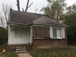 Pre-foreclosure in  BRAILE ST Detroit, MI 48219