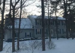 Pre-foreclosure Listing in RABBIT RUN LONG POND, PA 18334