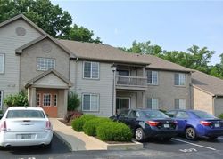 Pre-foreclosure in  LEGENDS CREEK DR  Indianapolis, IN 46229