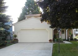 Pre-foreclosure Listing in DOVER DR ROSELLE, IL 60172