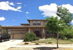 Pre-foreclosure in  S HIDDEN TRAIL CT Parker, CO 80138