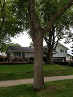 Pre-foreclosure in  W HENRY AVE Milwaukee, WI 53221