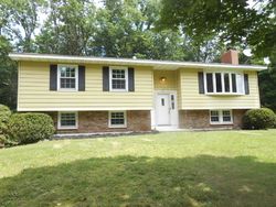 Pre-foreclosure in  ROOSEVELT RD Hyde Park, NY 12538