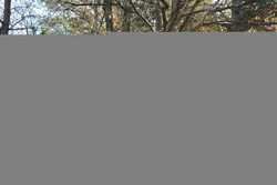  Norton Ln, Raleigh NC