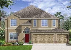 Pre-foreclosure in  YOUNGDALE PL Riverview, FL 33579