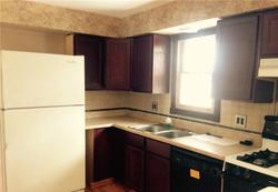 Pre-foreclosure in  E 261ST ST Euclid, OH 44132