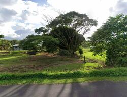 Pre-foreclosure in  AINALAKO RD Hilo, HI 96720