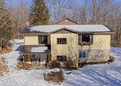 Pre-foreclosure Listing in SCOTT LN NORTHVILLE, NY 12134