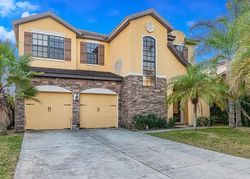 Pre-foreclosure in  DUNHAM STATION DR Tampa, FL 33647