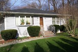 Pre-foreclosure Listing in RHINECLIFF RD BREWSTER, NY 10509