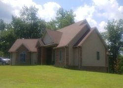 Pre-foreclosure in  COUNTRYVIEW DR Benton, MO 63736