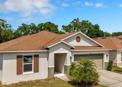 Pre-foreclosure in  MOON SHADOW LOOP Mulberry, FL 33860