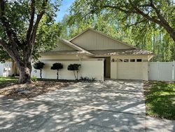 Pre-foreclosure in  HICKORYNUT DR Tampa, FL 33625