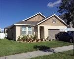 Pre-foreclosure Listing in TANGLE BRANCH LN GIBSONTON, FL 33534