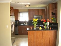 Pre-foreclosure Listing in DAYTONIA RD MIAMI BEACH, FL 33141