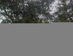 Pre-foreclosure in  ROYAL PINES AVE Riverview, FL 33579