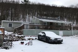 Pre-foreclosure Listing in E FOOTHILLS DR DRUMS, PA 18222