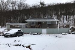 Pre-foreclosure Listing in E FOOTHILLS DR DRUMS, PA 18222