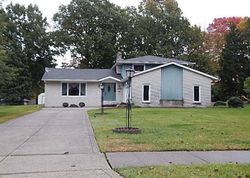 Pre-foreclosure in  CHERYL ANN DR Independence, OH 44131