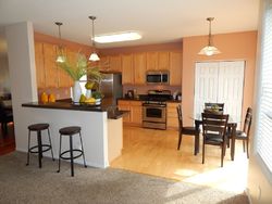 Pre-foreclosure in  113TH CT NE Minneapolis, MN 55449