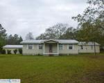 Pre-foreclosure in  BONDARENKO RD Keystone Heights, FL 32656