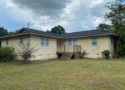 Pre-foreclosure Listing in NW 156TH TER LAKE BUTLER, FL 32054