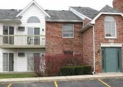 Pre-foreclosure Listing in CUNAT CT APT 3C LAKE IN THE HILLS, IL 60156