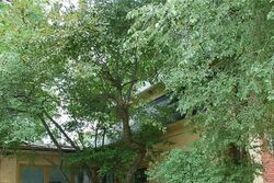  Prospect St, Berea OH