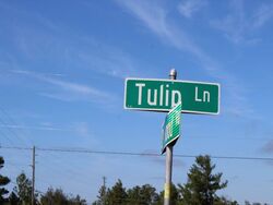 Pre-foreclosure in  TULIP LN Kissimmee, FL 34759