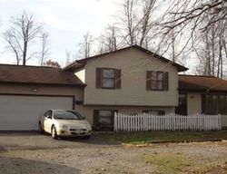 Pre-foreclosure in  MAHONING AVE North Jackson, OH 44451