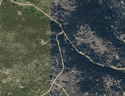 Pre-foreclosure in  PINE GLADE RD Nederland, CO 80466