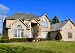 Pre-foreclosure in  RUFFLED FEATHERS DR Lemont, IL 60439