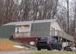 Pre-foreclosure Listing in DEXTER RD KINGSPORT, TN 37660