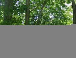 Pre-foreclosure in  N BREENS BAY RD Oconomowoc, WI 53066