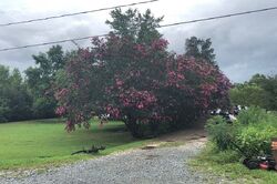  Boggs Rd, Thomasville NC